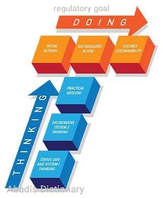 regulatory goal